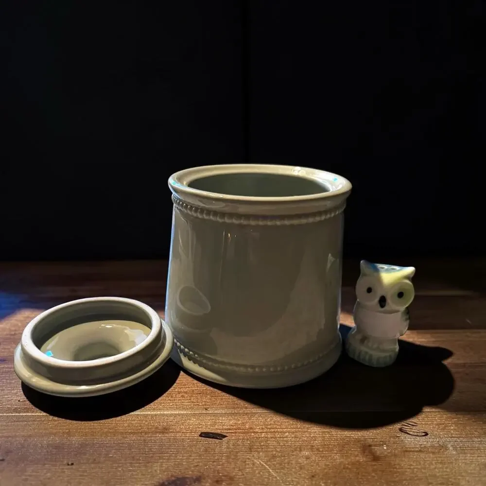 Vintage Sage Green Stoneware Kitchen Canister with Lid | Farmhouse Ceramic